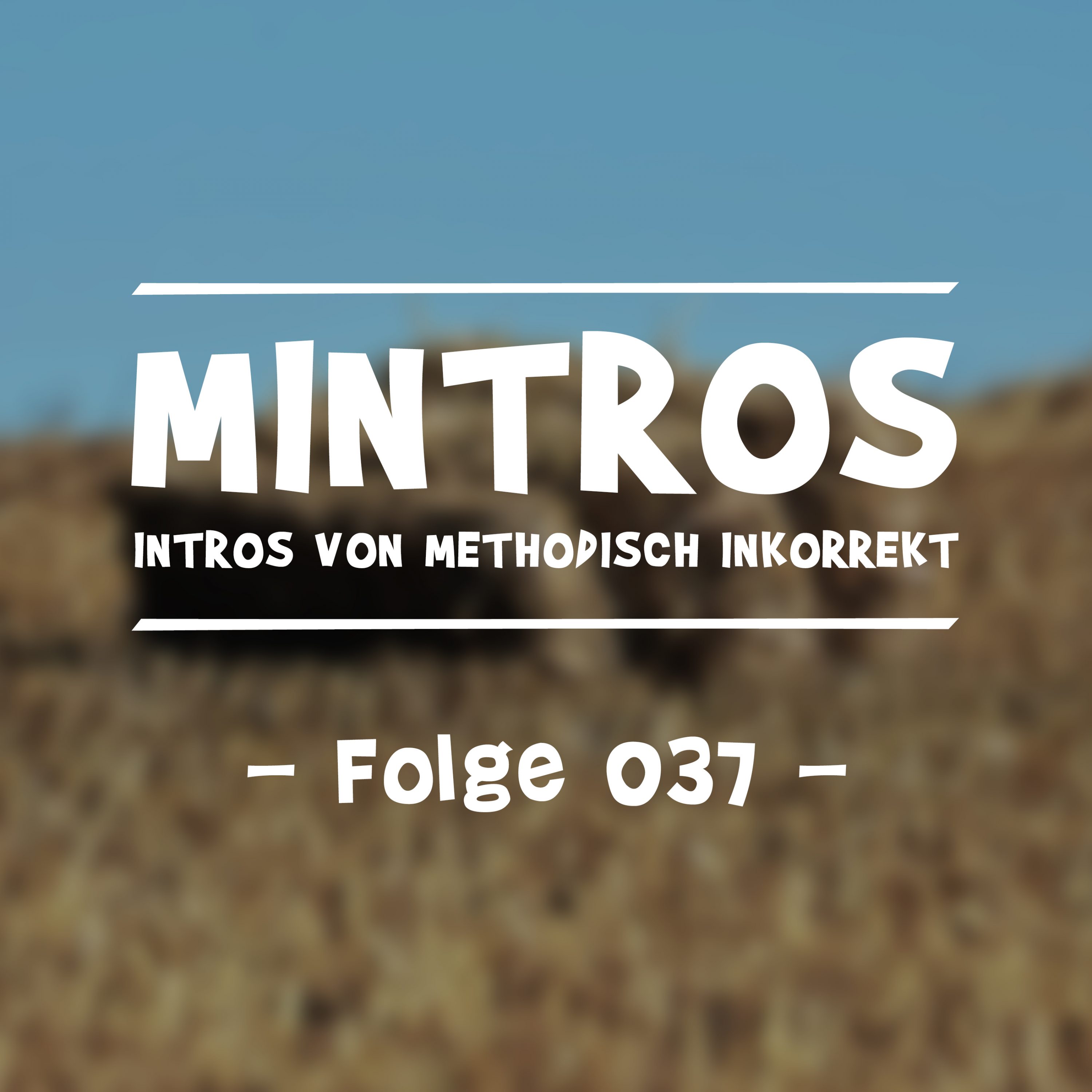 Warum Liegt Hier Stroh Film Name
